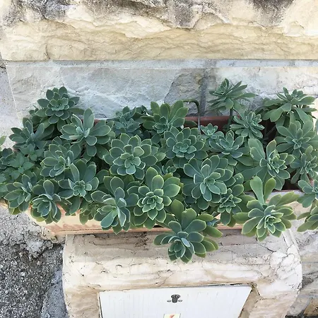 Ivan Dolac 15784b Apartment Jelsa (Hvar)